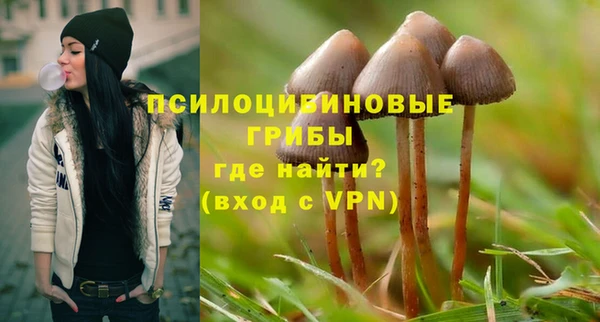 сатива Богородск
