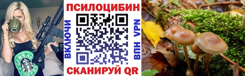 Псилоцибиновые грибы GOLDEN TEACHER  наркошоп  Донецк 